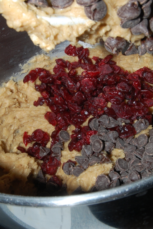 Chocolate Chips and Cranberries